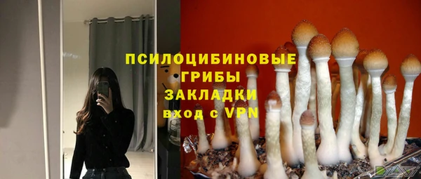 mix Белокуриха