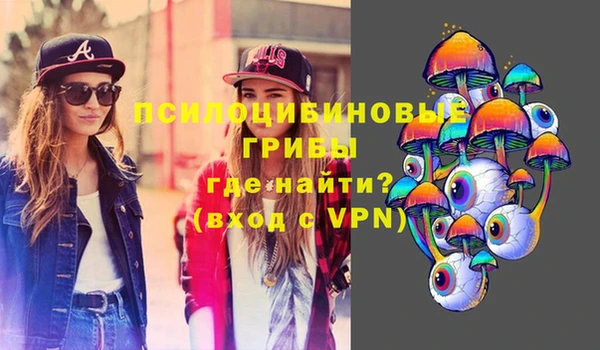 mix Белокуриха