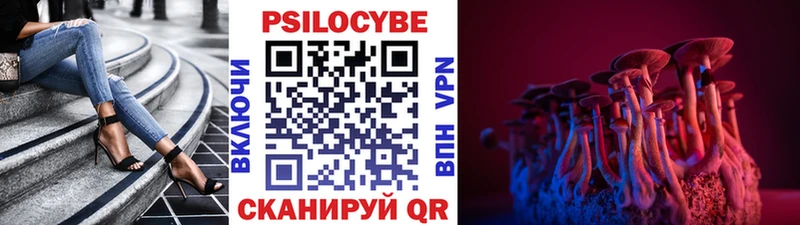 Купить  Можайск  Псилоцибиновые грибы Magic Shrooms 